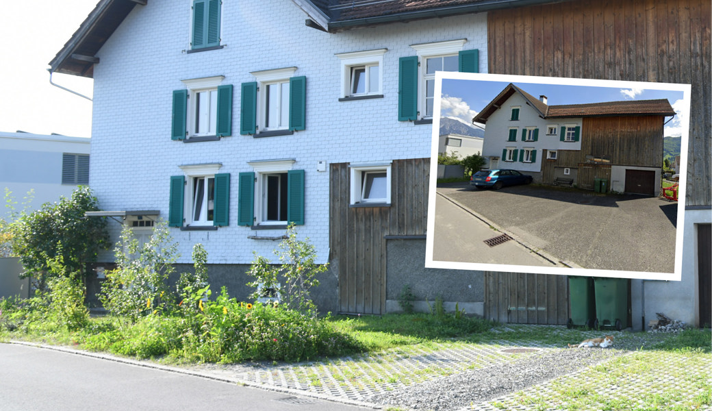 Aus Grau mach Grün: Ein Vorplatz erwacht